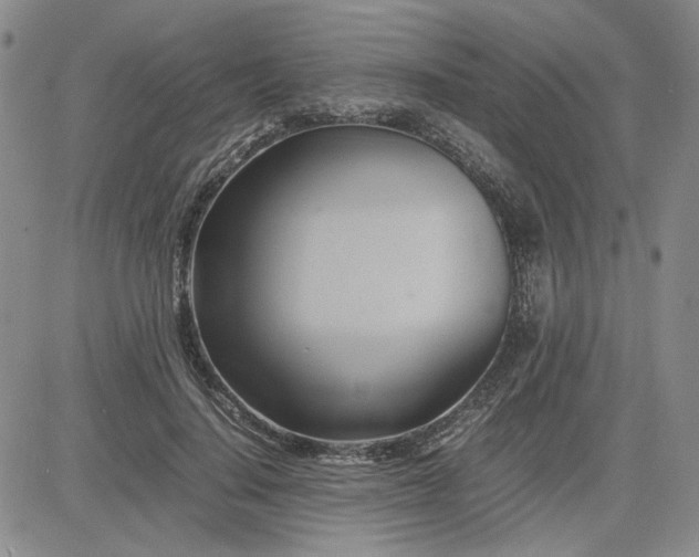 X0000083620644200702260954