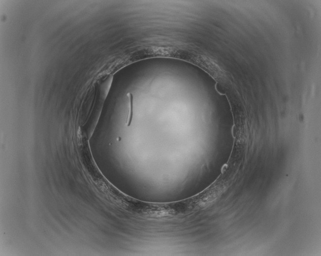 X0000083620646200702260954