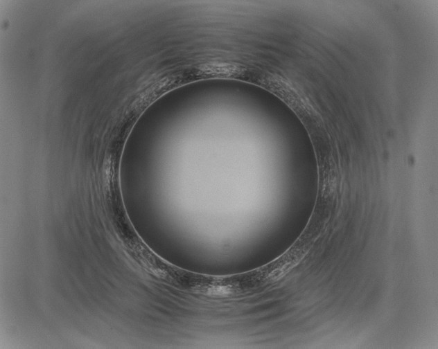 X0000083620647200702260954