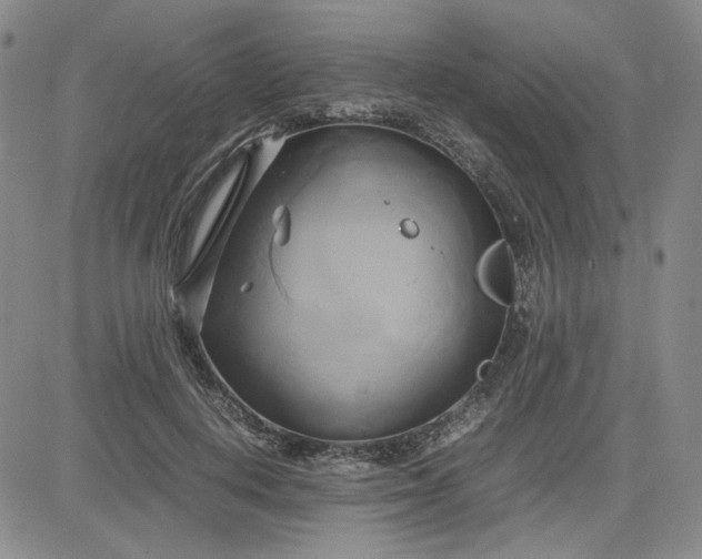 X0000083620648200702260954