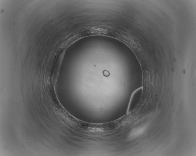 X0000083620649200702260954