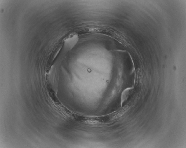 X0000083620650200702260954