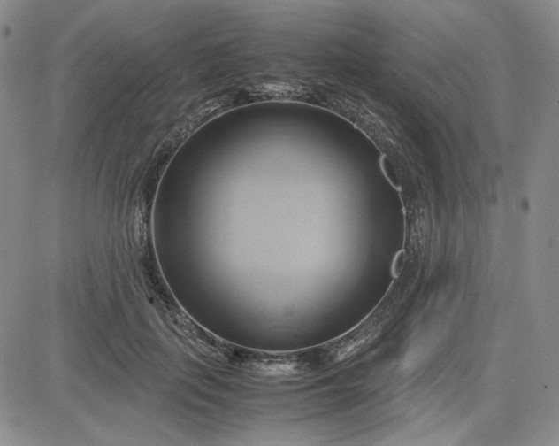 X0000083620651200702260954