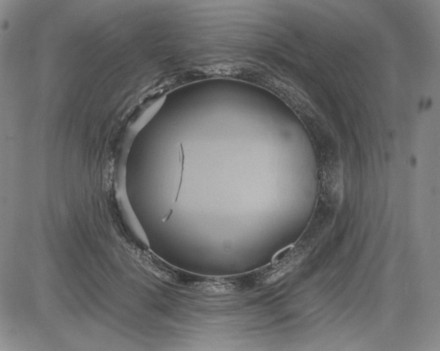 X0000083620652200702260954