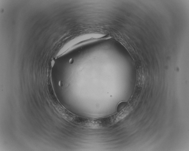 X0000083620656200702260955