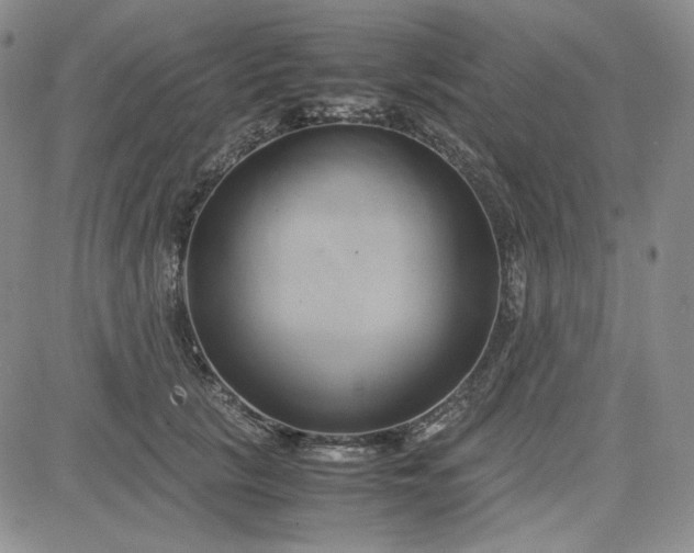 X0000083620657200702260955