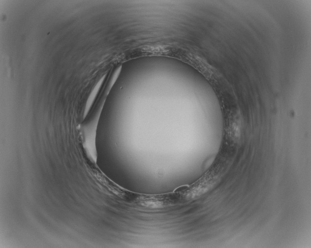 X0000083620658200702260955