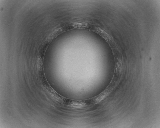 X0000083620659200702260955