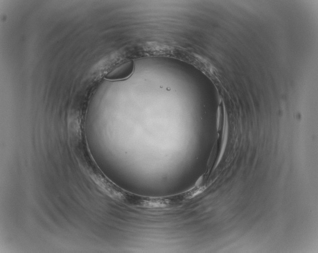 X0000083620662200702260955