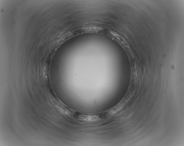 X0000083620663200702260955