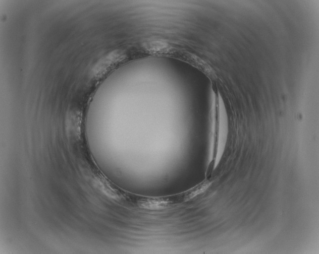 X0000083620664200702260955