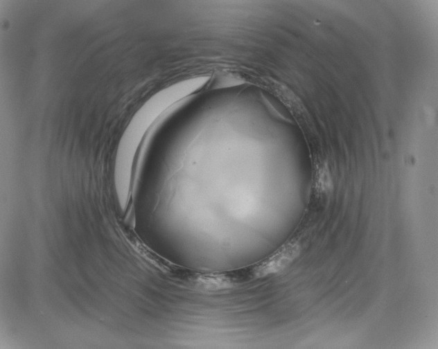 X0000083620666200702260955