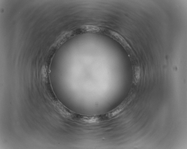 X0000083620667200702260955