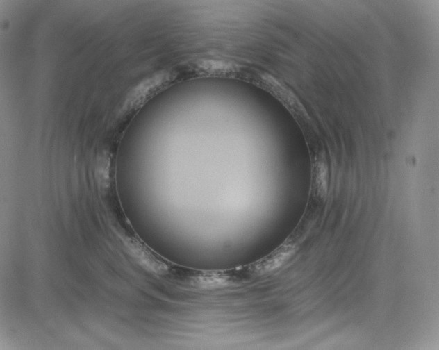 X0000083620668200702260955