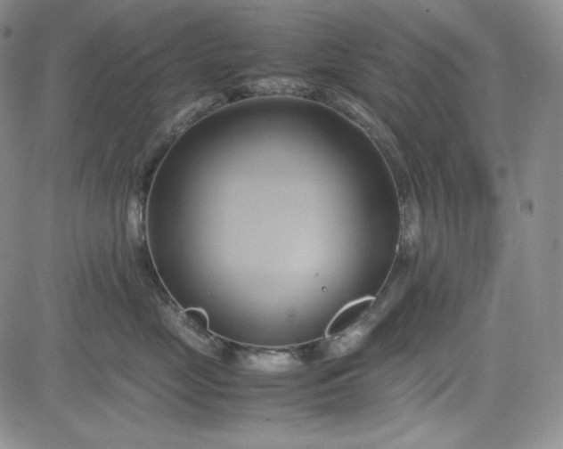 X0000083620669200702260955