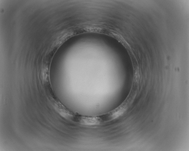 X0000083620671200702260955