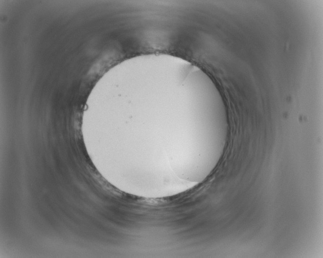 X0000083620672200702260955