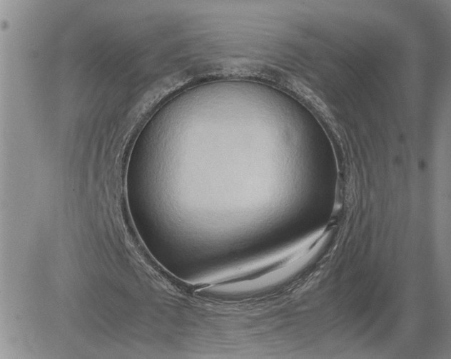 X0000083620673200702260954