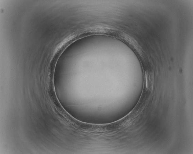 X0000083620675200702260954