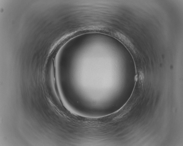 X0000083620676200702260954