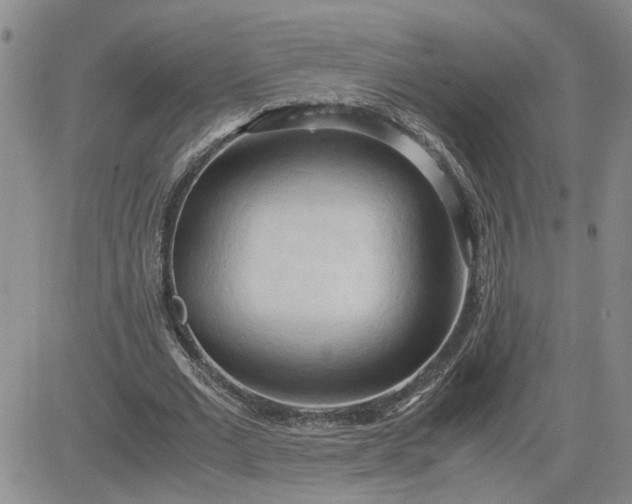 X0000083620677200702260954