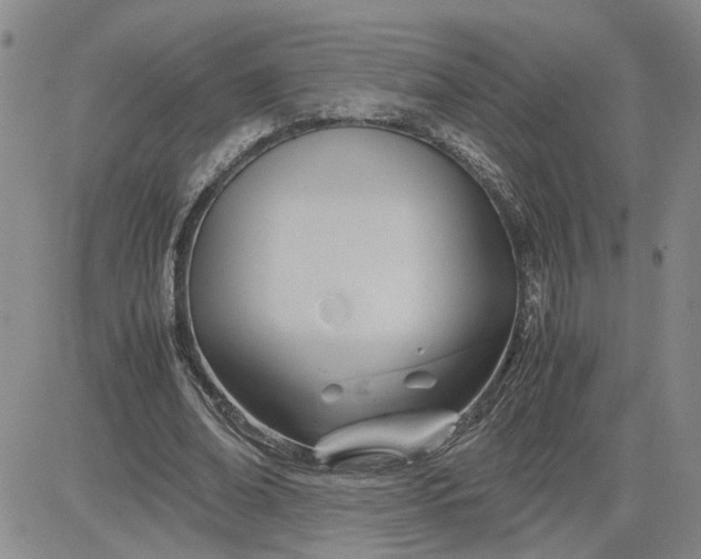 X0000083620678200702260954