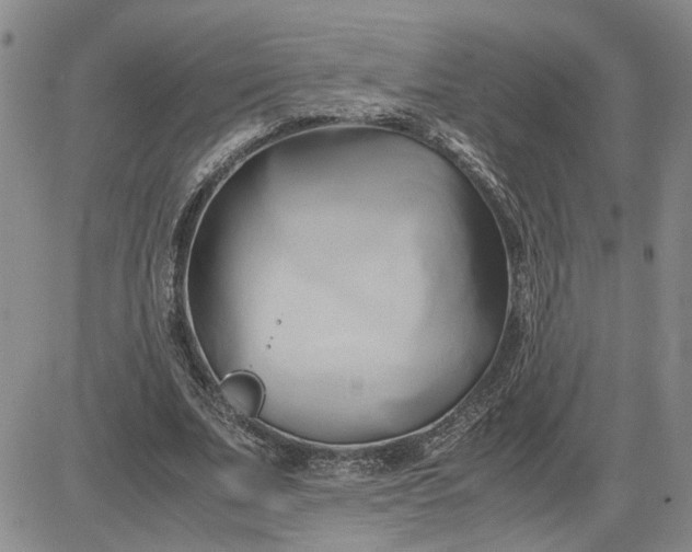 X0000083620679200702260954