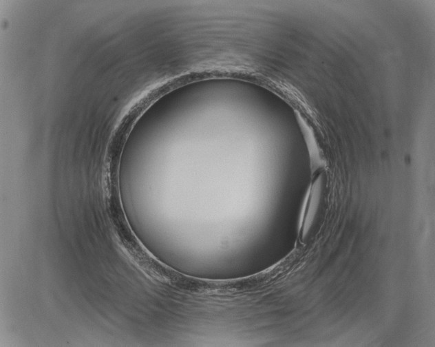 X0000083620680200702260954