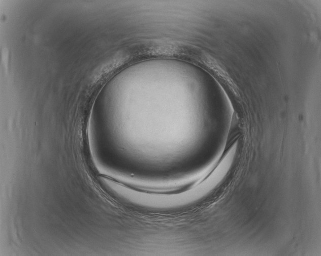 X0000083620681200702260954