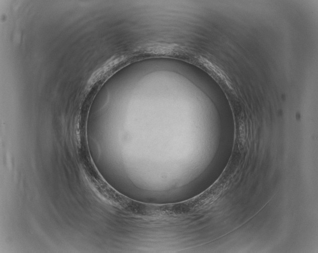 X0000083620682200702260954