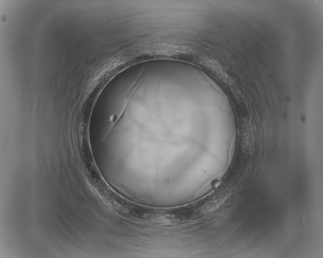 X0000083620683200702260954