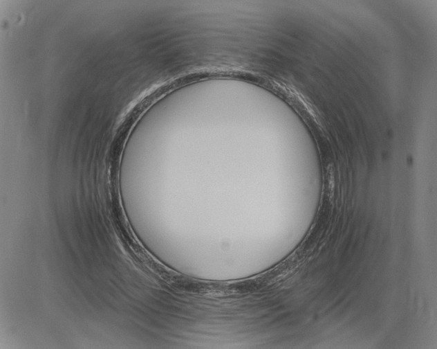 X0000083620684200702260954