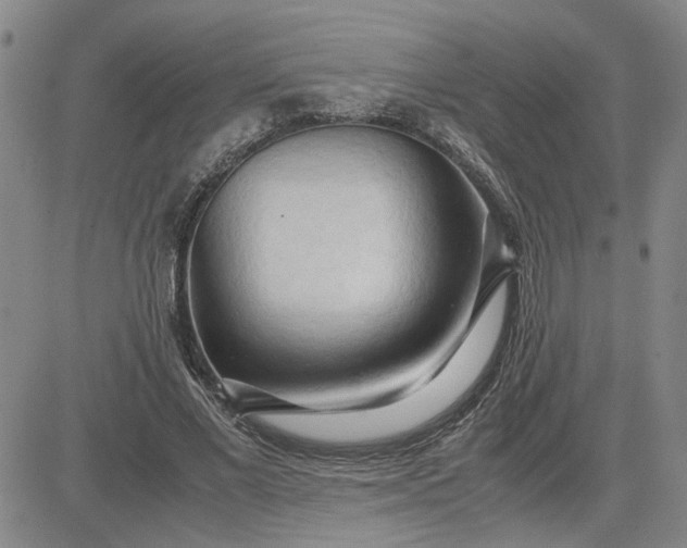 X0000083620685200702260954