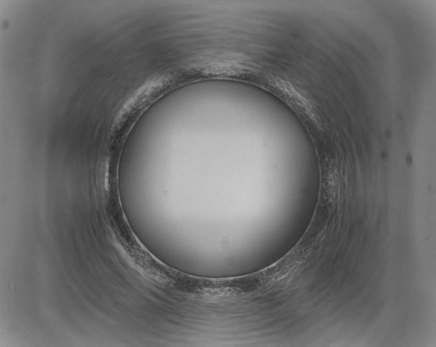 X0000083620686200702260954