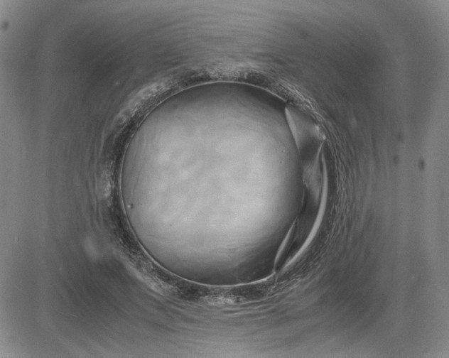 X0000083620687200702260954