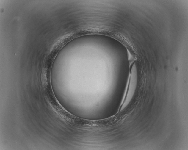 X0000083620688200702260954