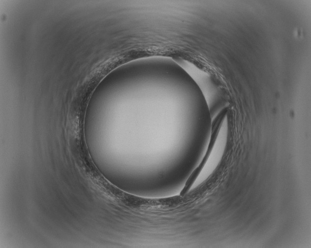 X0000083620689200702260954