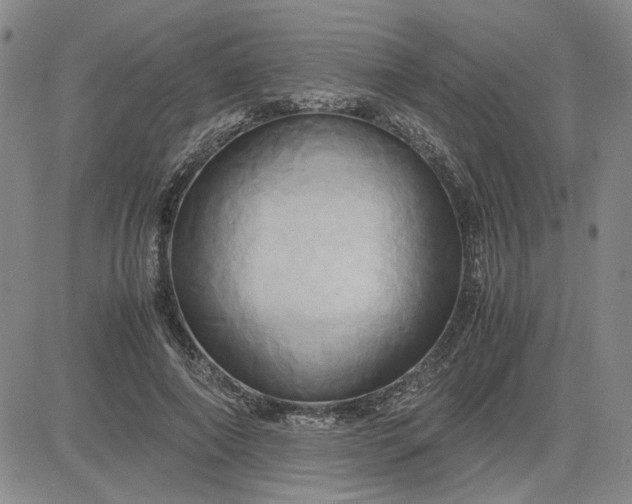 X0000083620690200702260954