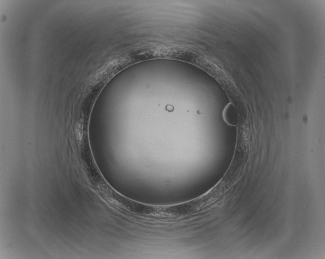 X0000083620691200702260954