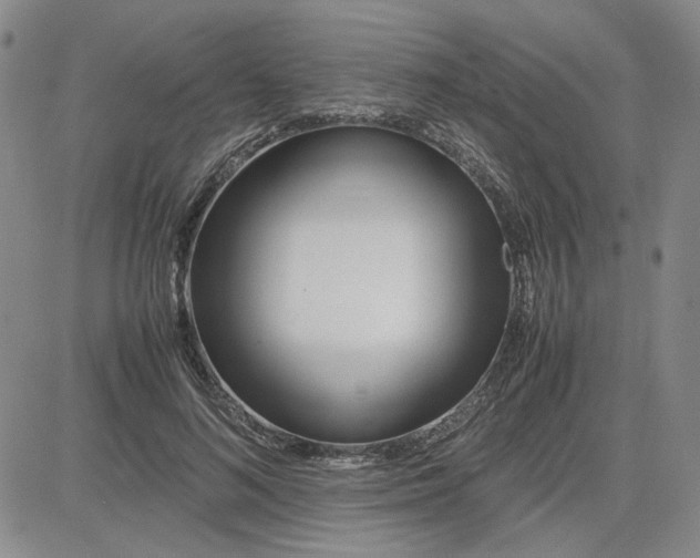 X0000083620692200702260954