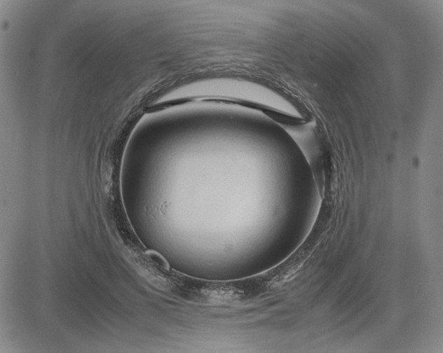 X0000083620693200702260954