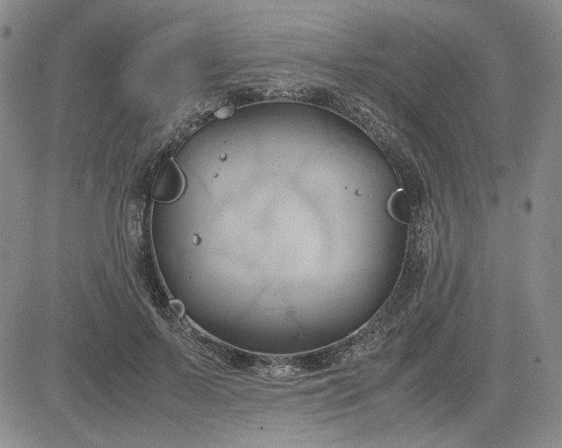 X0000083620695200702260954