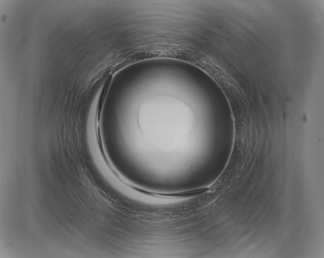 X0000083620696200702260954