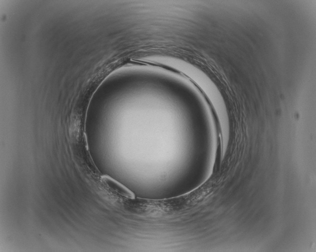 X0000083620697200702260954