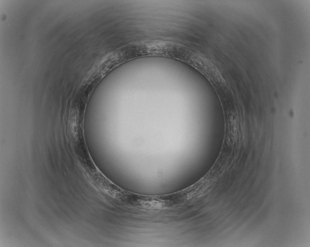 X0000083620698200702260954