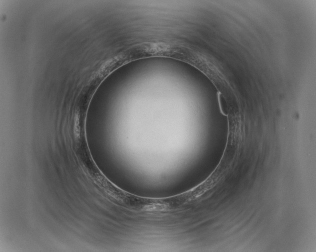 X0000083620700200702260954