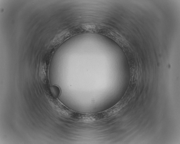 X0000083620702200702260954