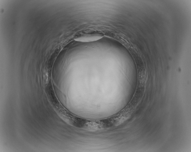 X0000083620703200702260954