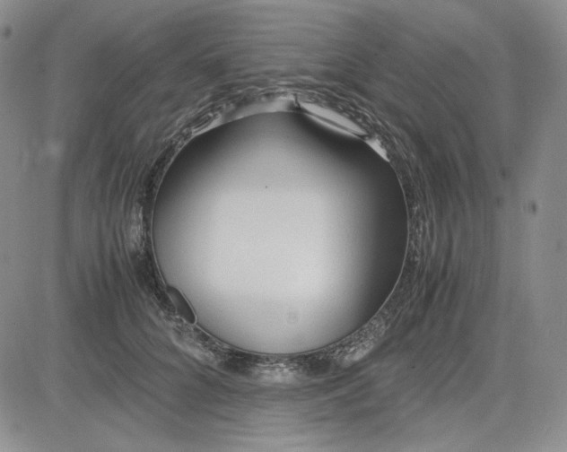 X0000083620704200702260953