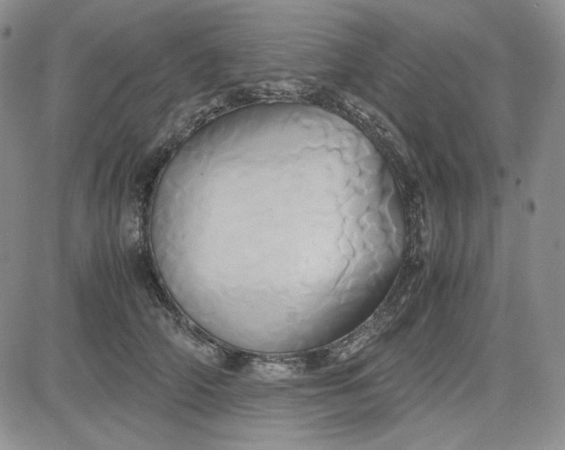 X0000083620706200702260953